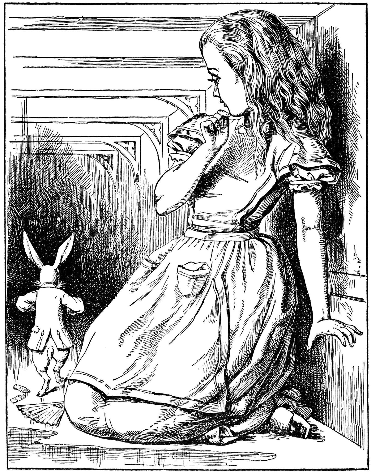 Children's & Illustrated Books