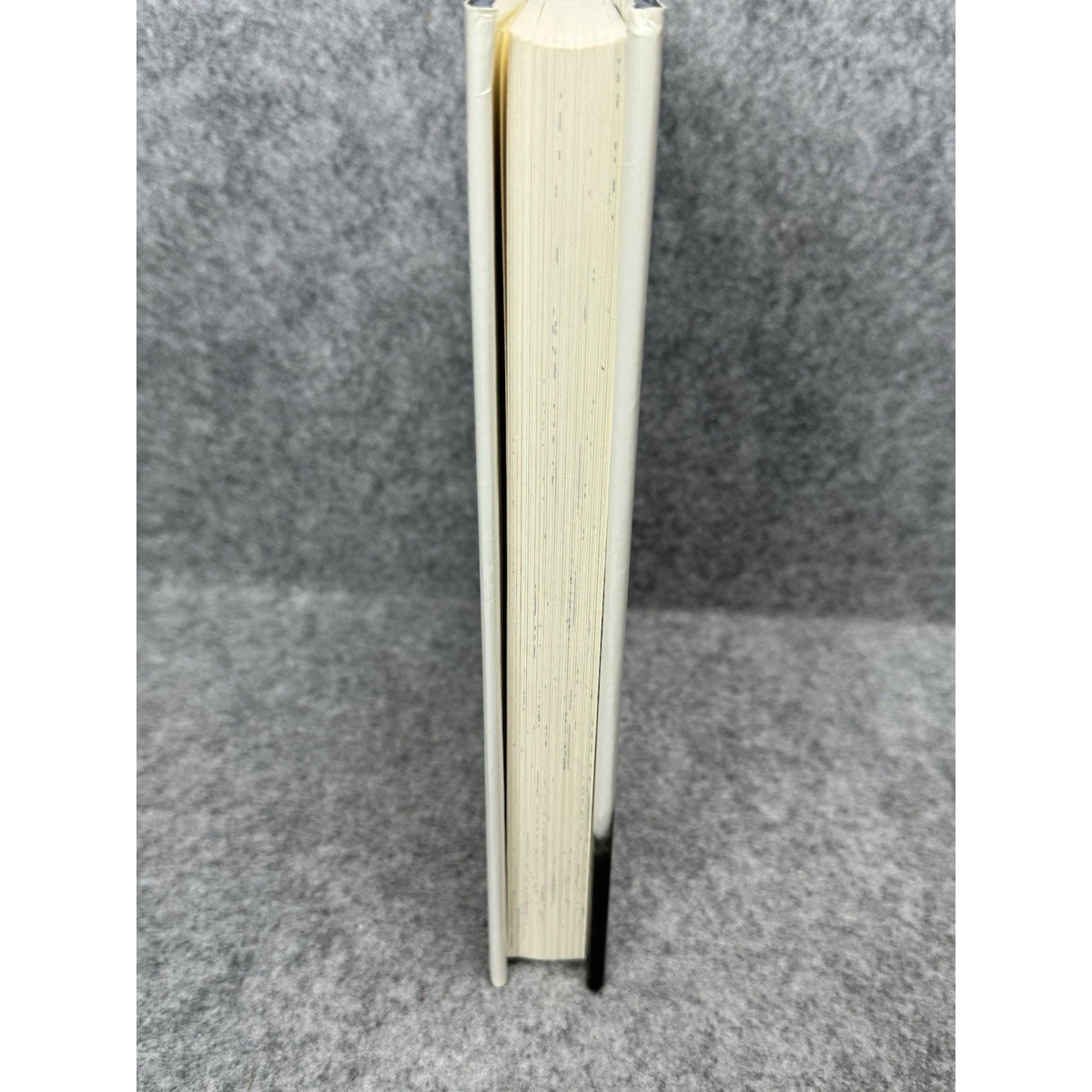 A Light in the Attic Shel Silverstein Hardcover DJ 1981 Copyright