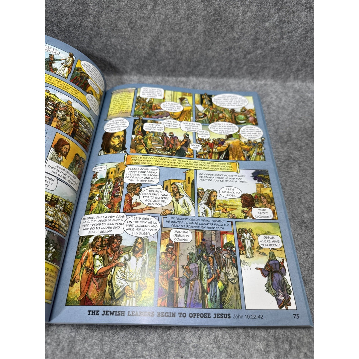 The New Testament a Graphic Novel