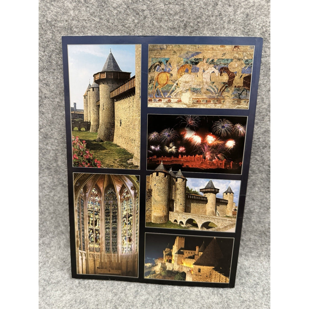 Carcassonne Castillos Cataros Spanish Travel Guide Paperback Illustrated