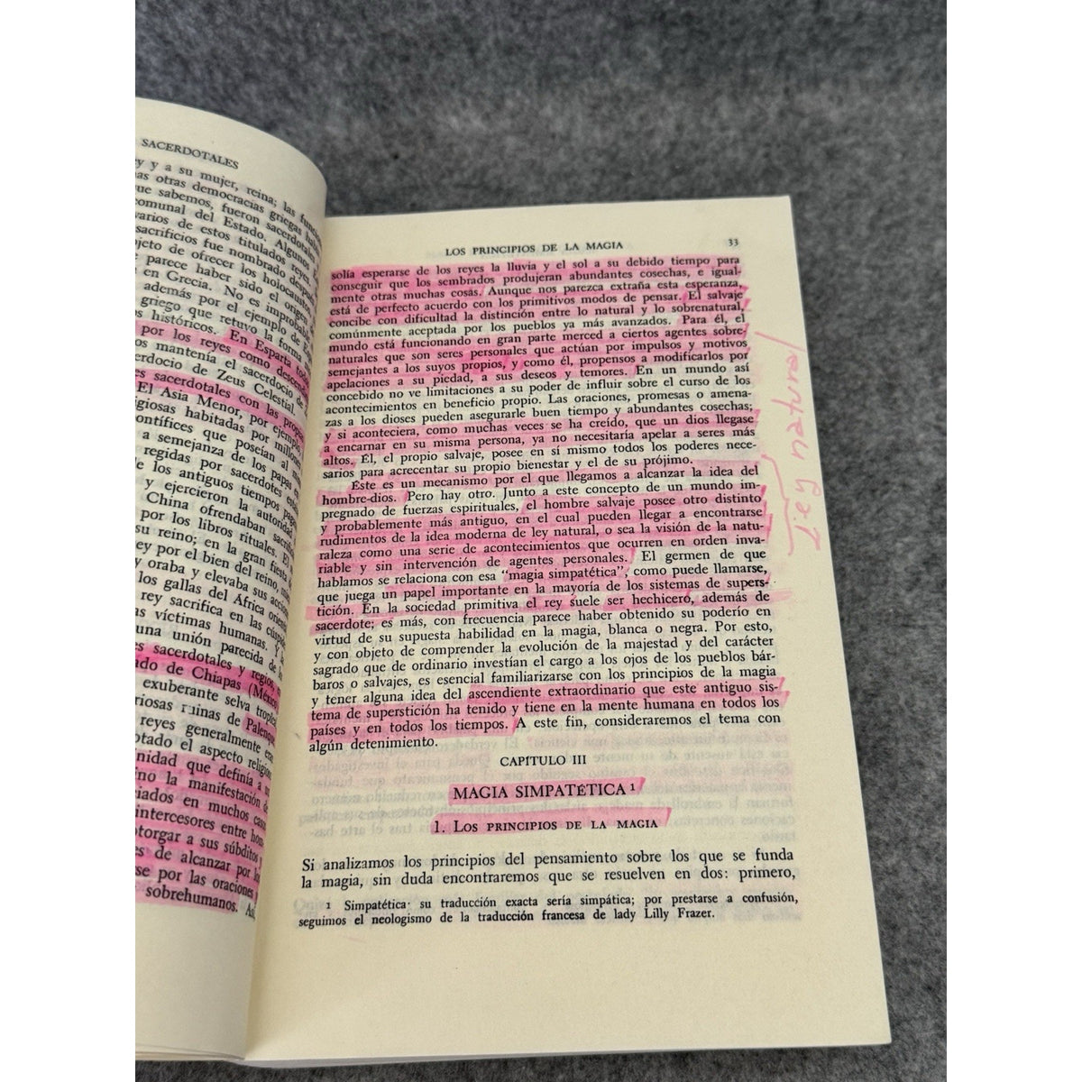La Rama Dorada Magia y Religión James George Frazer 1986 Spanish PB