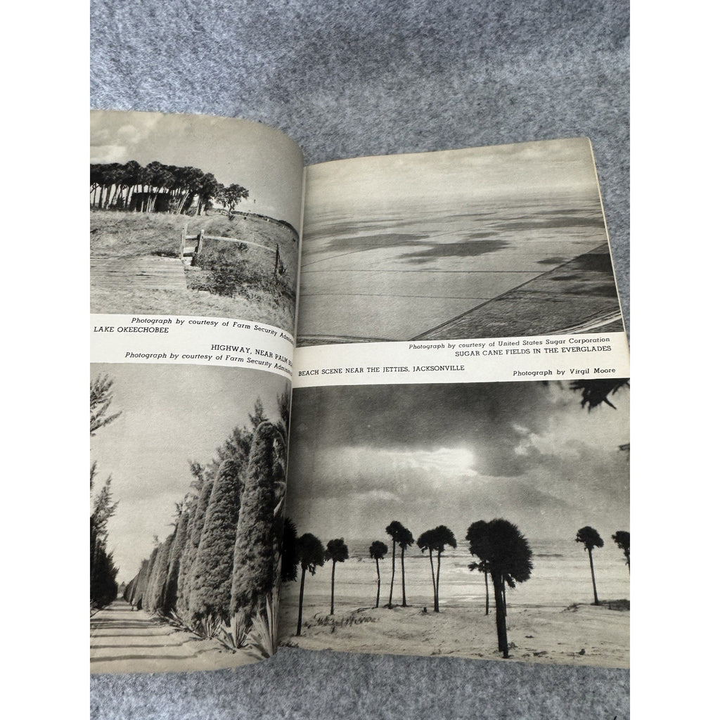 Florida A Guide to the Southernmost State HC 1940 WPA American Guide