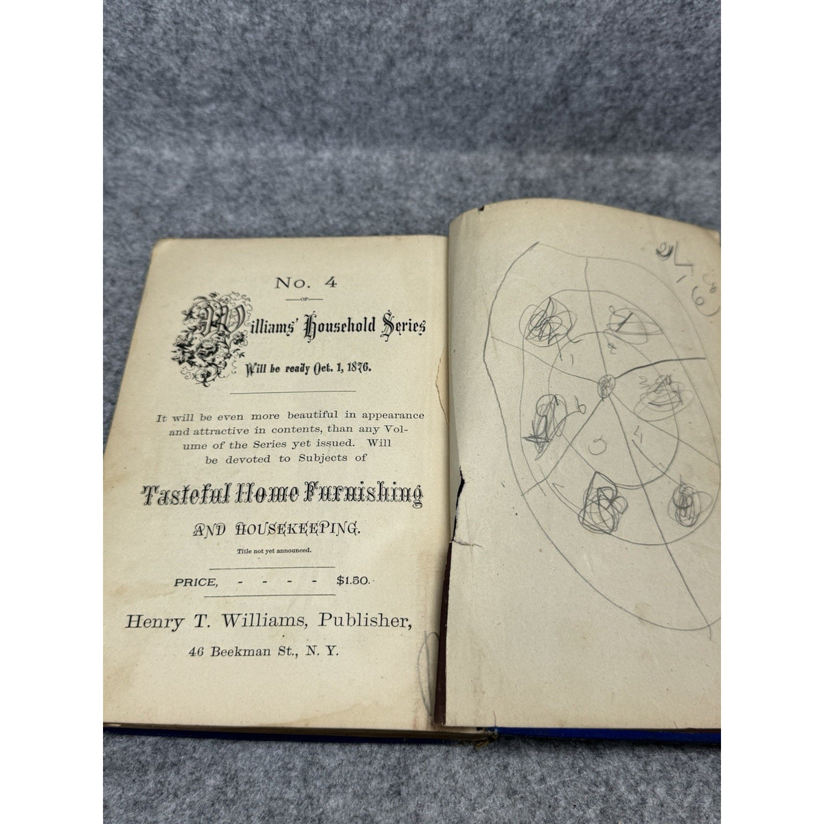 1877 Window Gardening Henry T Williams Illustrated Victorian Plants Hardcover