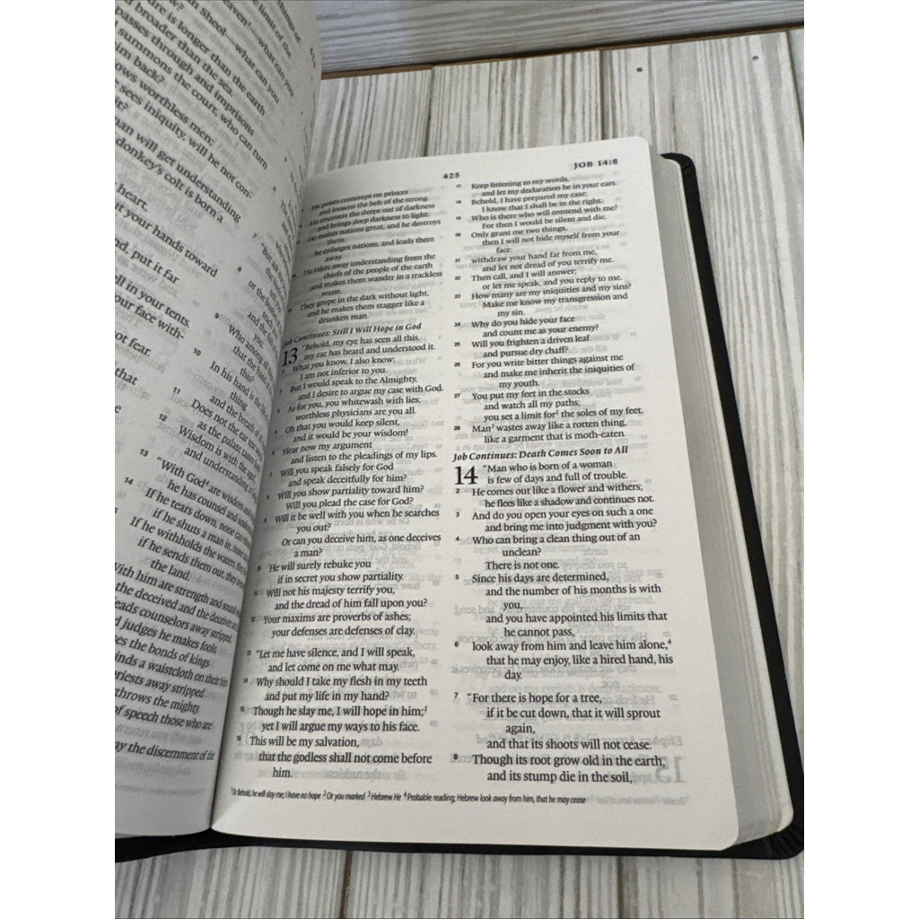 ESV Value Thinline Bible (TruTone, Charcoal, Celtic Cross Design) by Esv Bibles