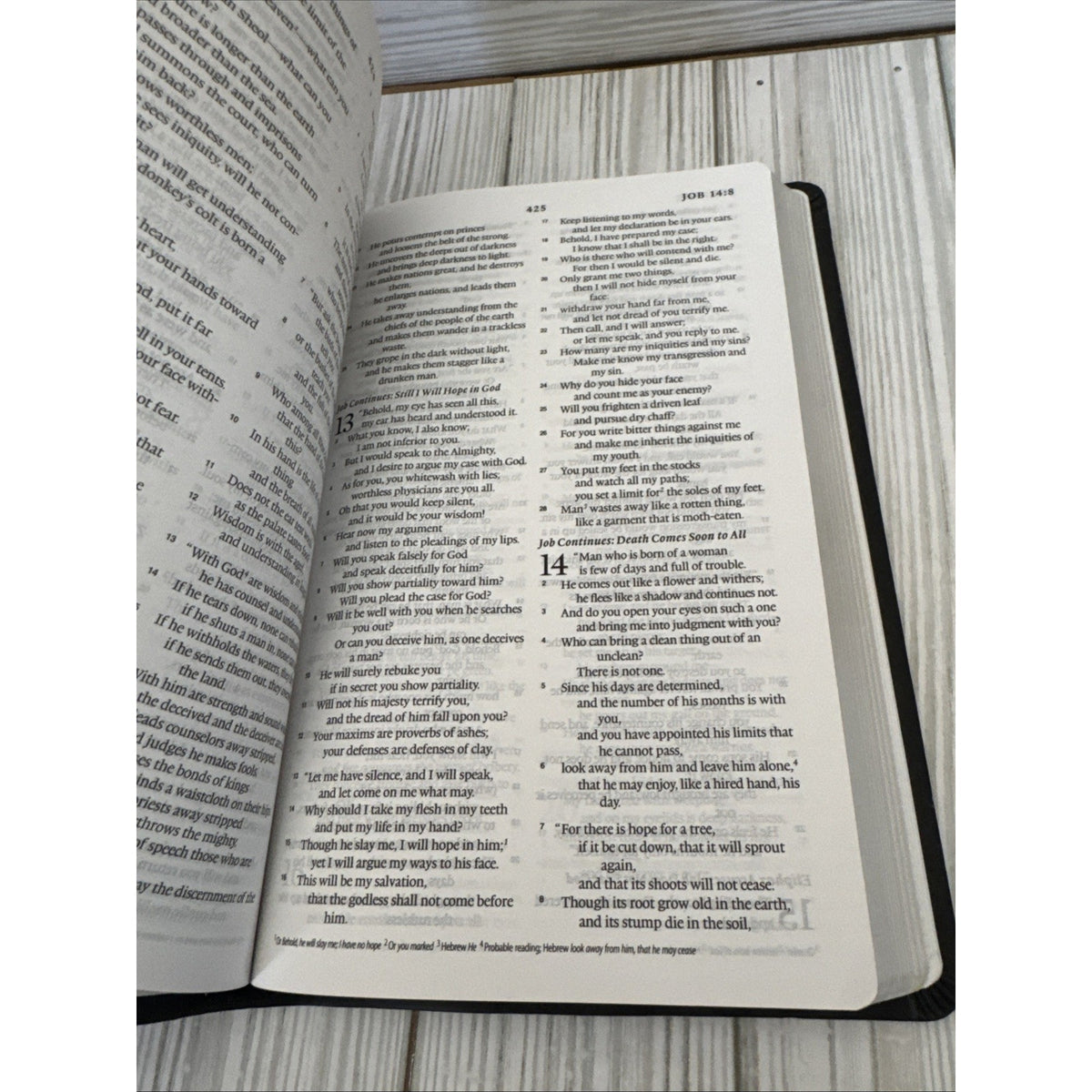 ESV Value Thinline Bible (TruTone, Charcoal, Celtic Cross Design) by Esv Bibles
