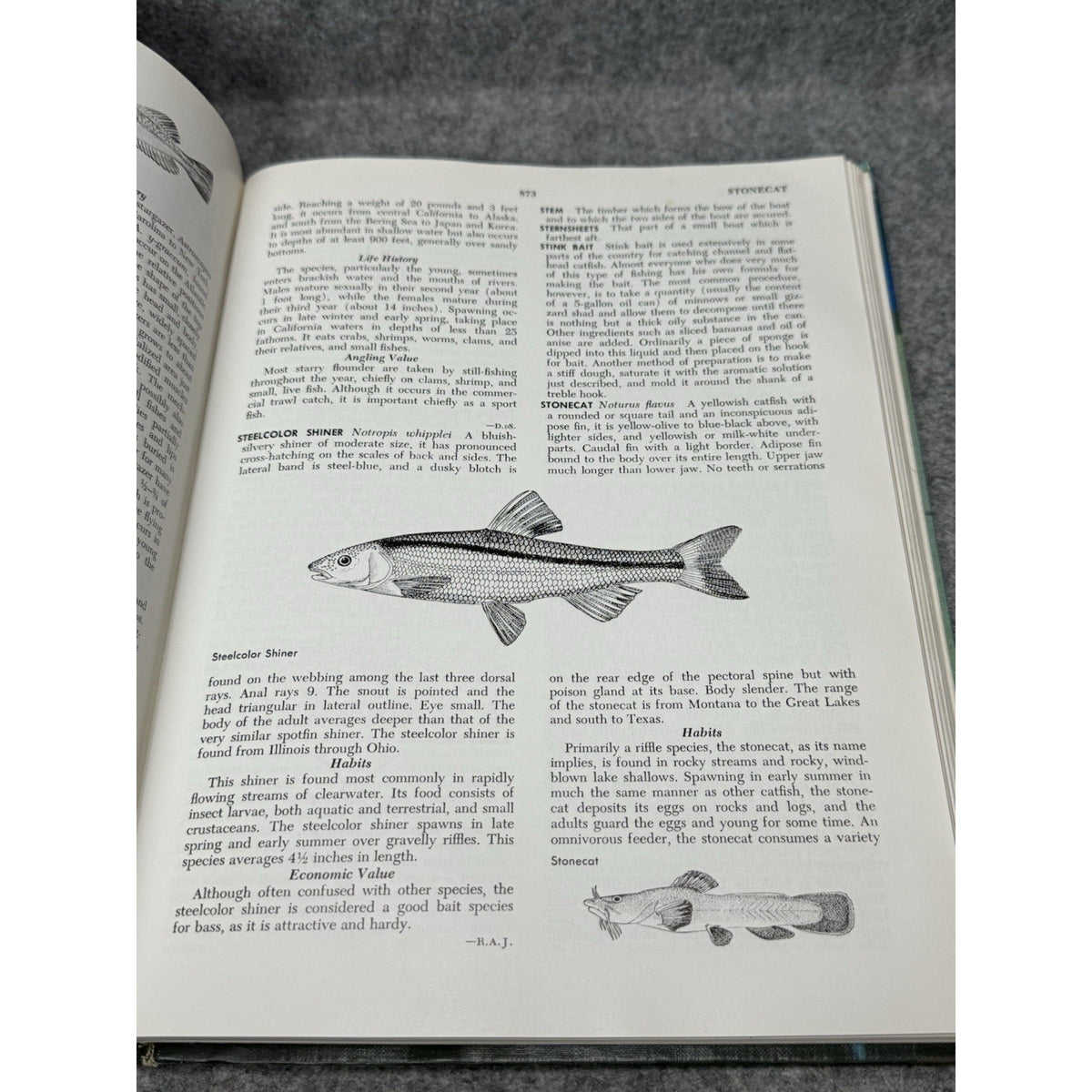 1965 McClane’s Standard Fishing Encyclopedia First Edition Angling Illustrated