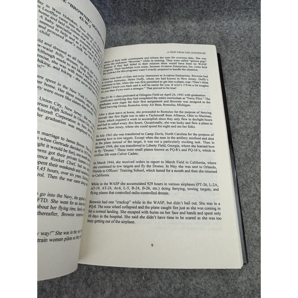 A View from the Doghouse: Of the 319Th Aafwftd by Celeste Graves Signed