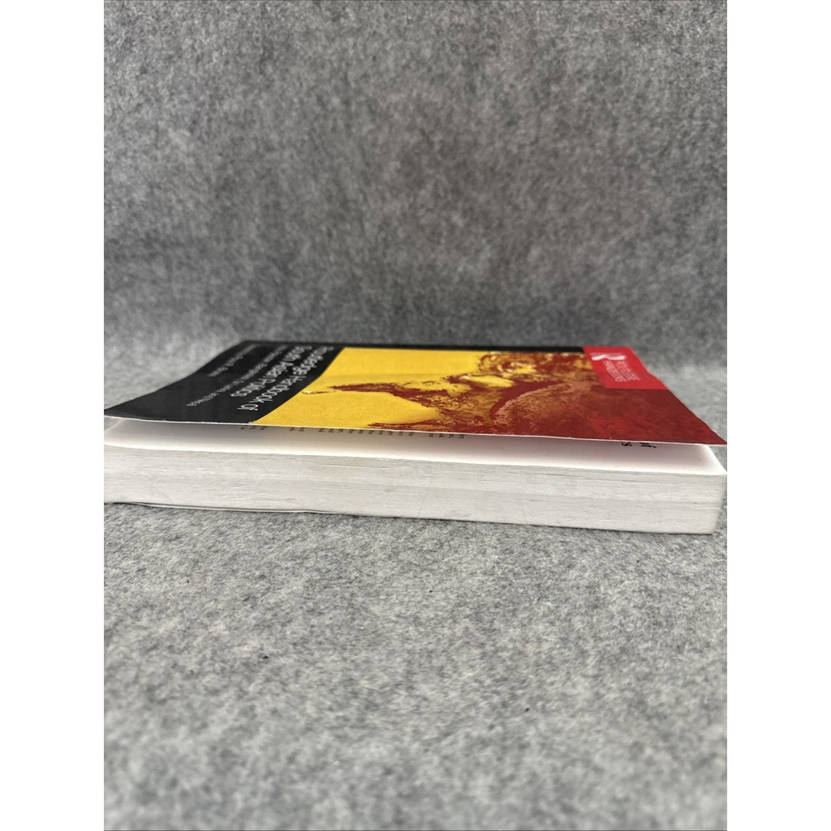 Routledge Handbook of South Asian Politics : India, Pakistan, Bangladesh, Sri...