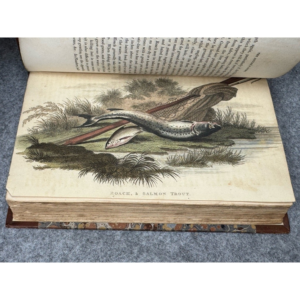 1825 Angler’s Guide T.F. Salter 6th Ed Large Paper Extra Illustrated Fishing
