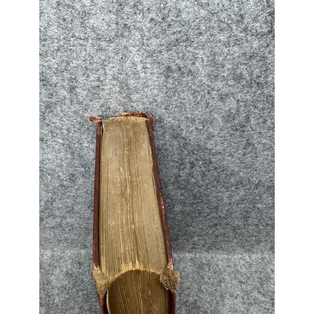 The Testimony of the Rocks Hugh Miller Antique Illustrated Geology Theology HC