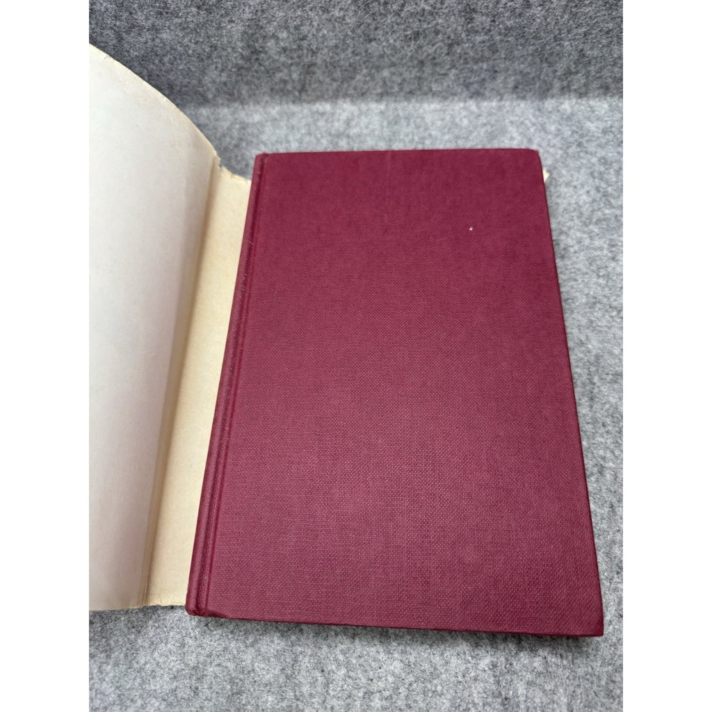 Light Your Torches Pull Up Your Tights Tay Garnett 1973 Hollywood Memoir HC