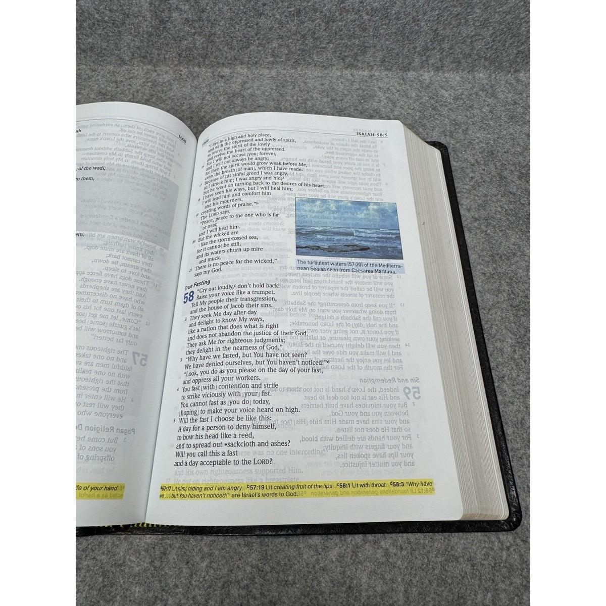 Holman Illustrated Study Bible HCSB 2006 First Printing Black Bonded Leather
