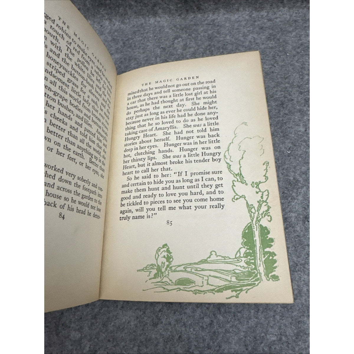 The Magic Garden by Gene Stratton-Porter 1927 HCDJ First Edition