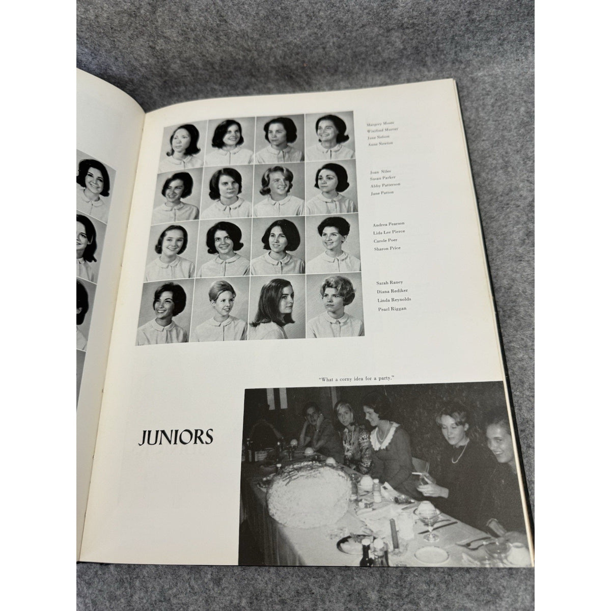 1965 Briar Patch Sweet Briar College Yearbook Hardcover Virginia Annual