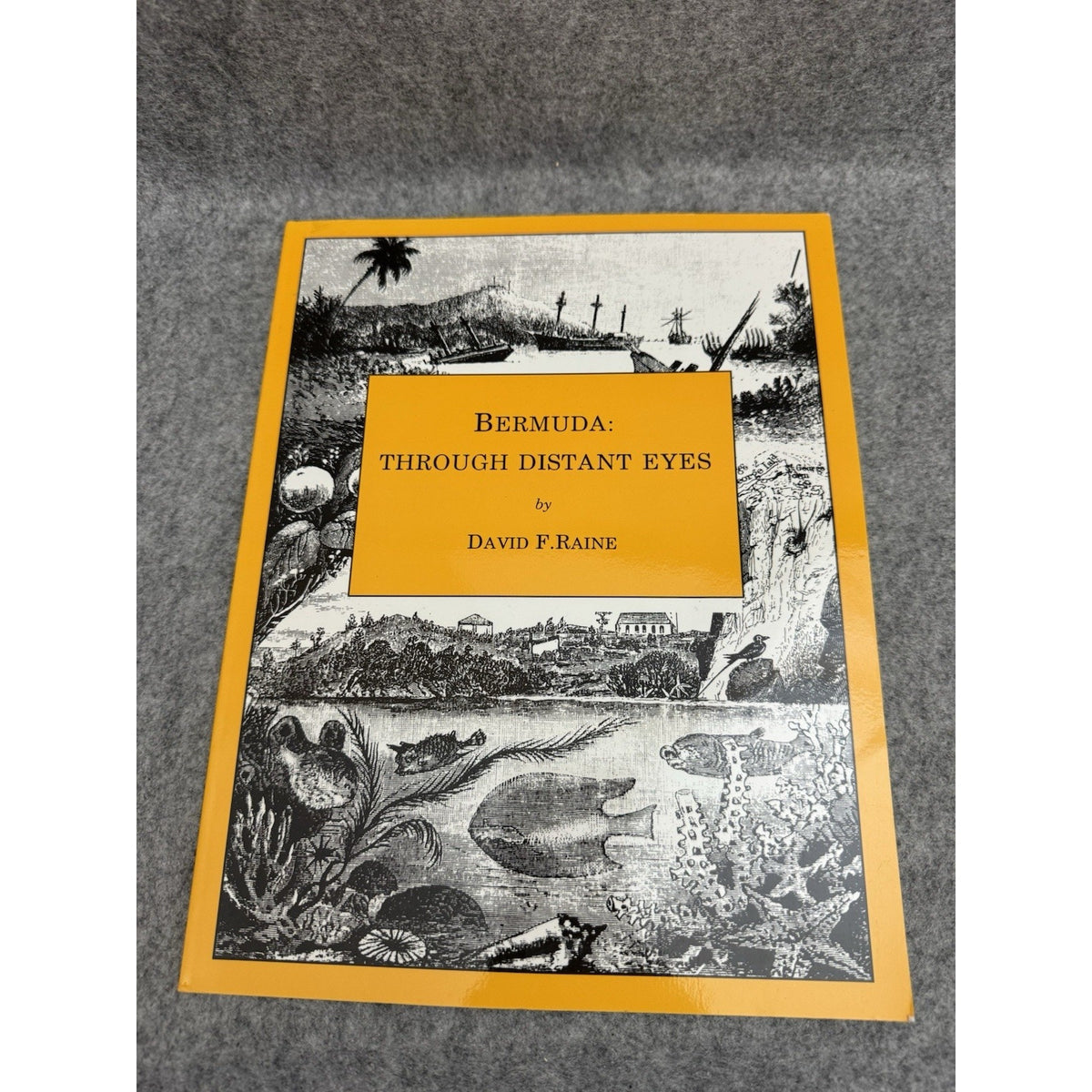 1996 Bermuda Through Distant Eyes David F. Raine PB Illustrated 1st Ed
