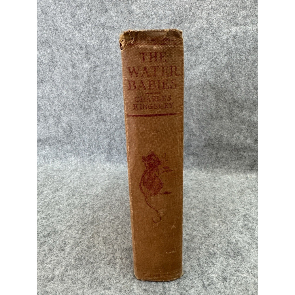 Charles Kingsley THE WATER BABIES ill George Soper Doran ca. 1920 w/ 4 color pl