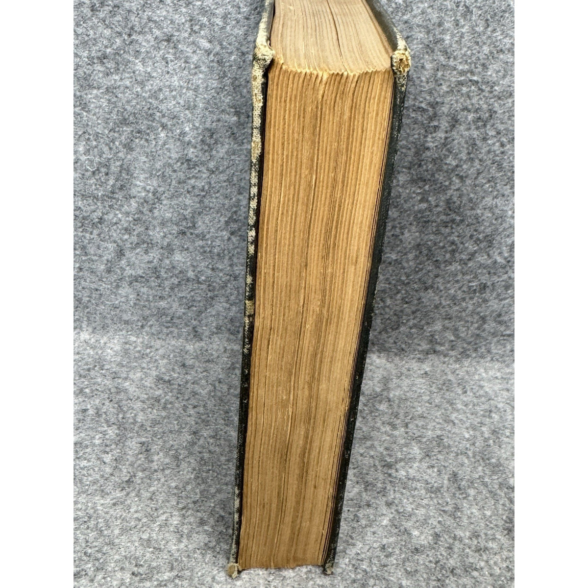 1926 Manual of Tree and Shrub Insects Felt Illustrated Entomology Hardcover