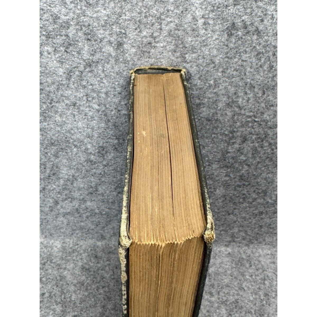 1926 Manual of Tree and Shrub Insects Felt Illustrated Entomology Hardcover