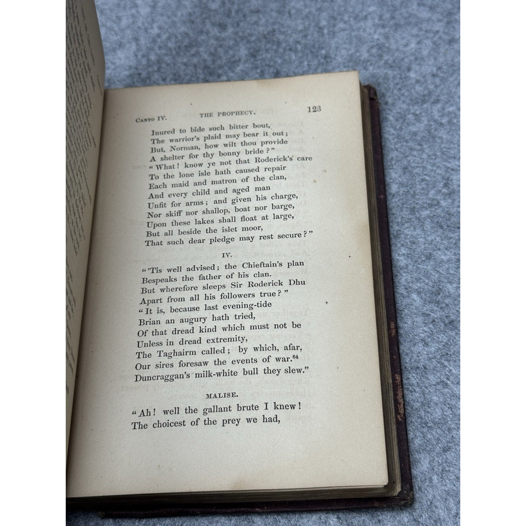1869 The Lady of the Lake Sir Walter Scott Illustrated FOC Darley Antique