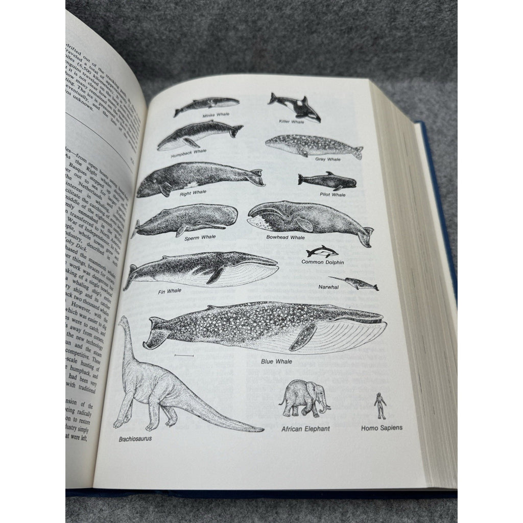 The Cousteau Almanac Jacques-Yves Cousteau 1981 Hardcover Ocean Ecology