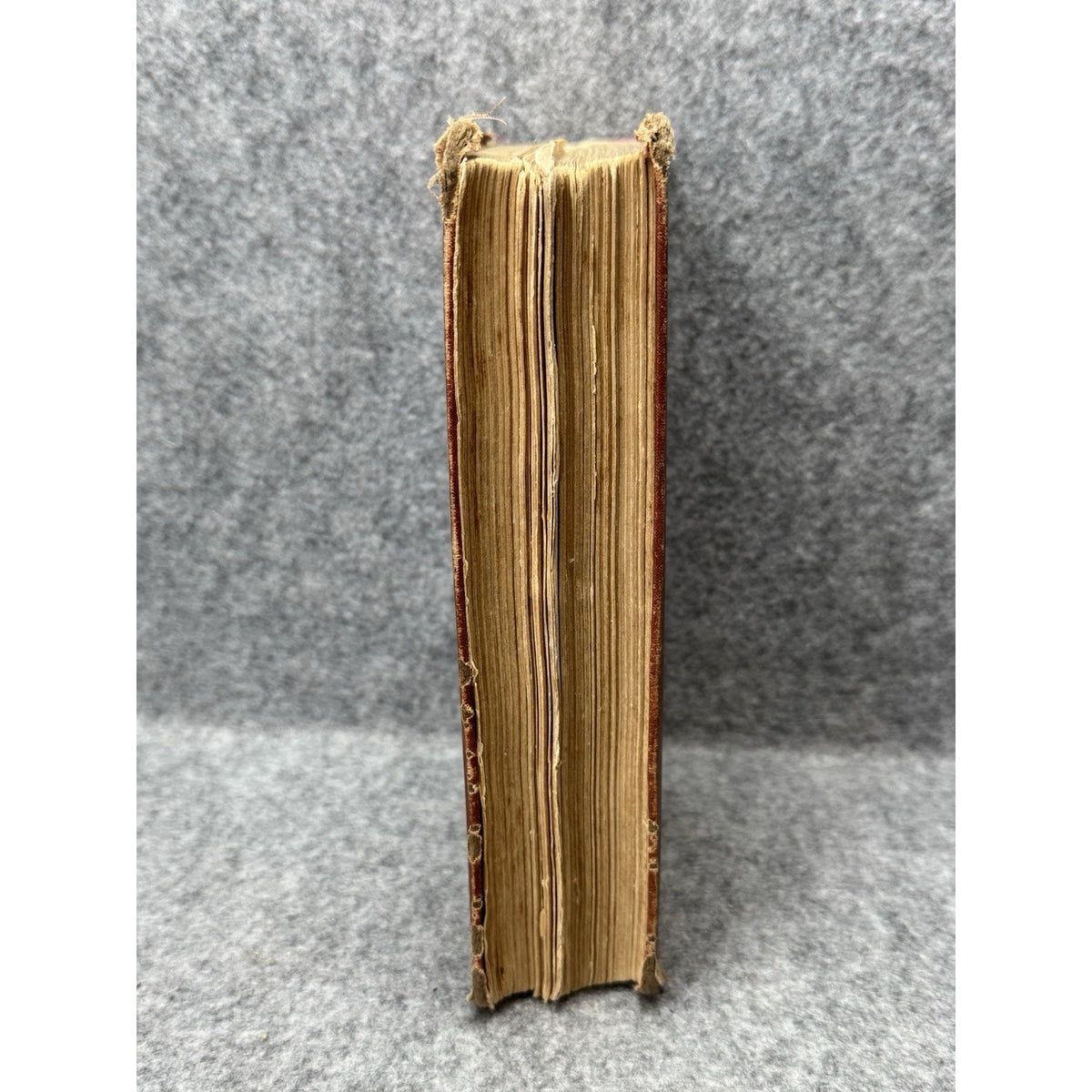 1880 The Mysterious Island Jules Verne R Worthington Illustrated Antique