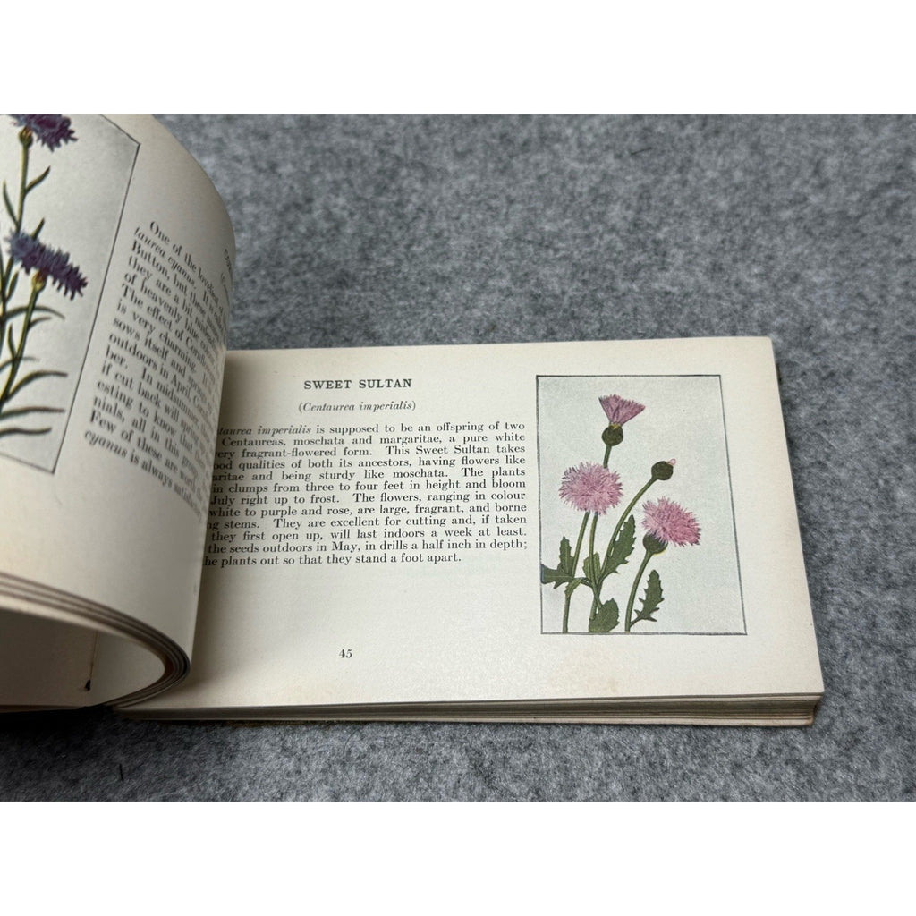 1917 Garden Flowers of Summer Ellen Eddy Shaw Pocket Guide Color Plates