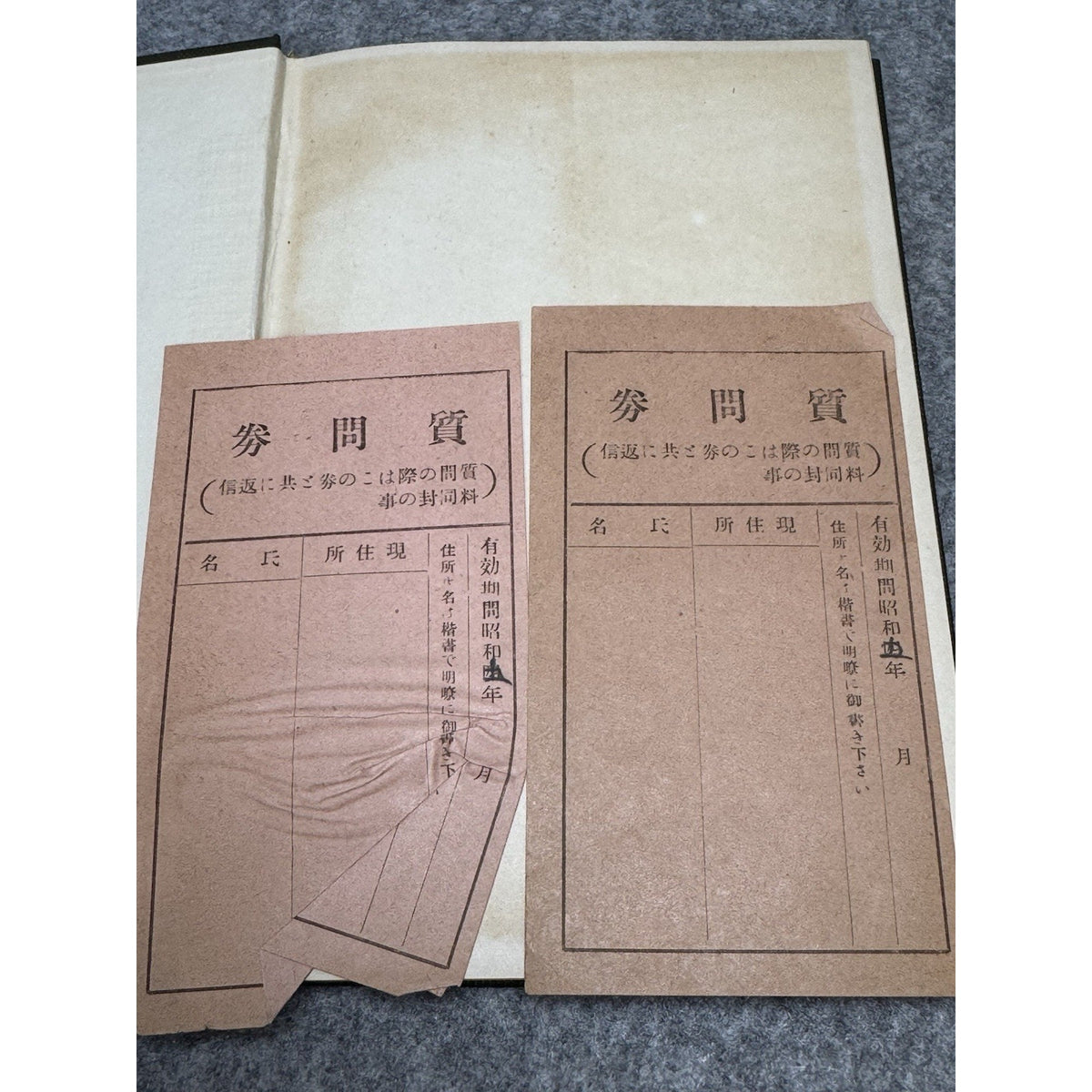 Rare Japanese Genryushi Physiognomy Face Reading Occult Illustrated 1938