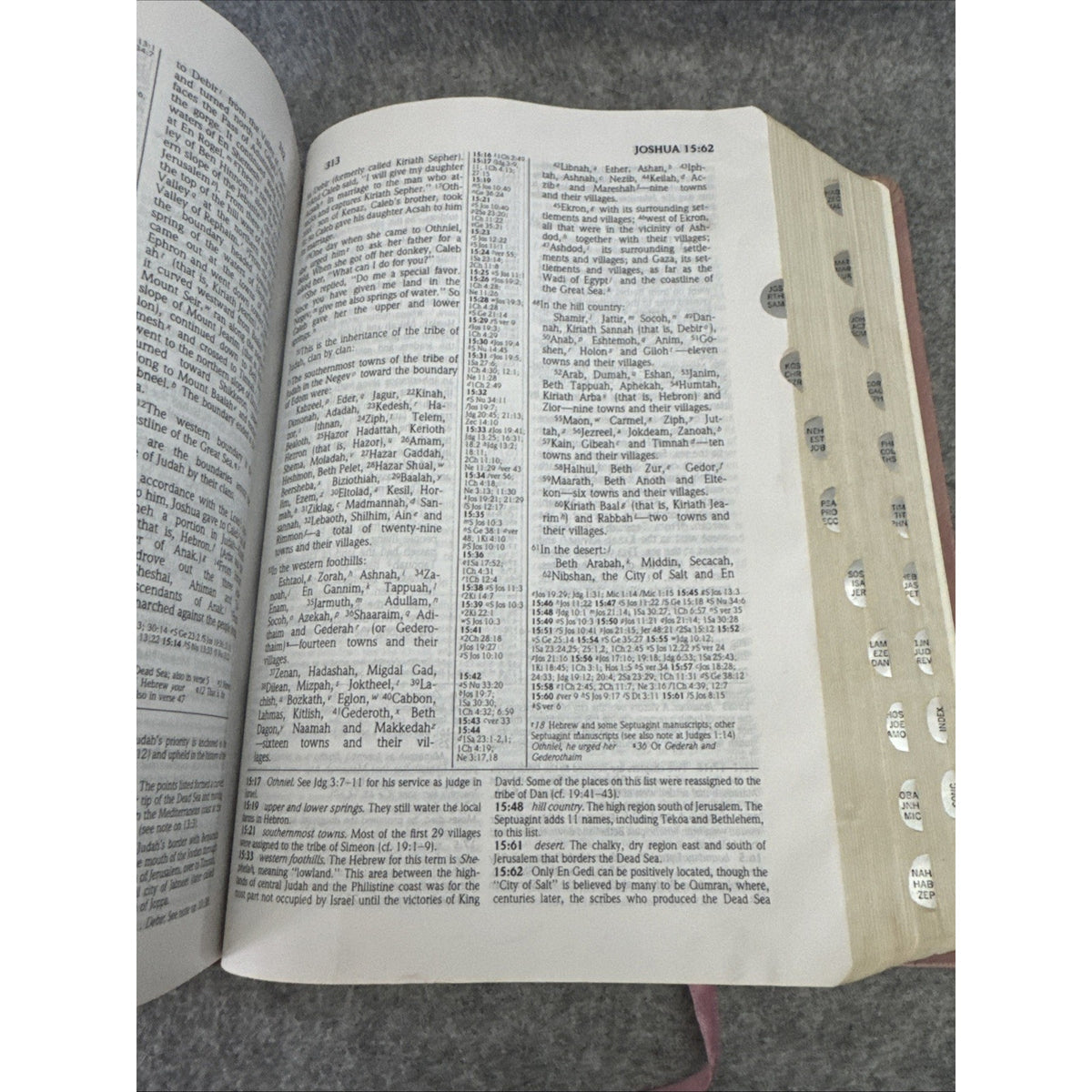 The Study Bible: New International Version/Tea Rose Bonded Leather