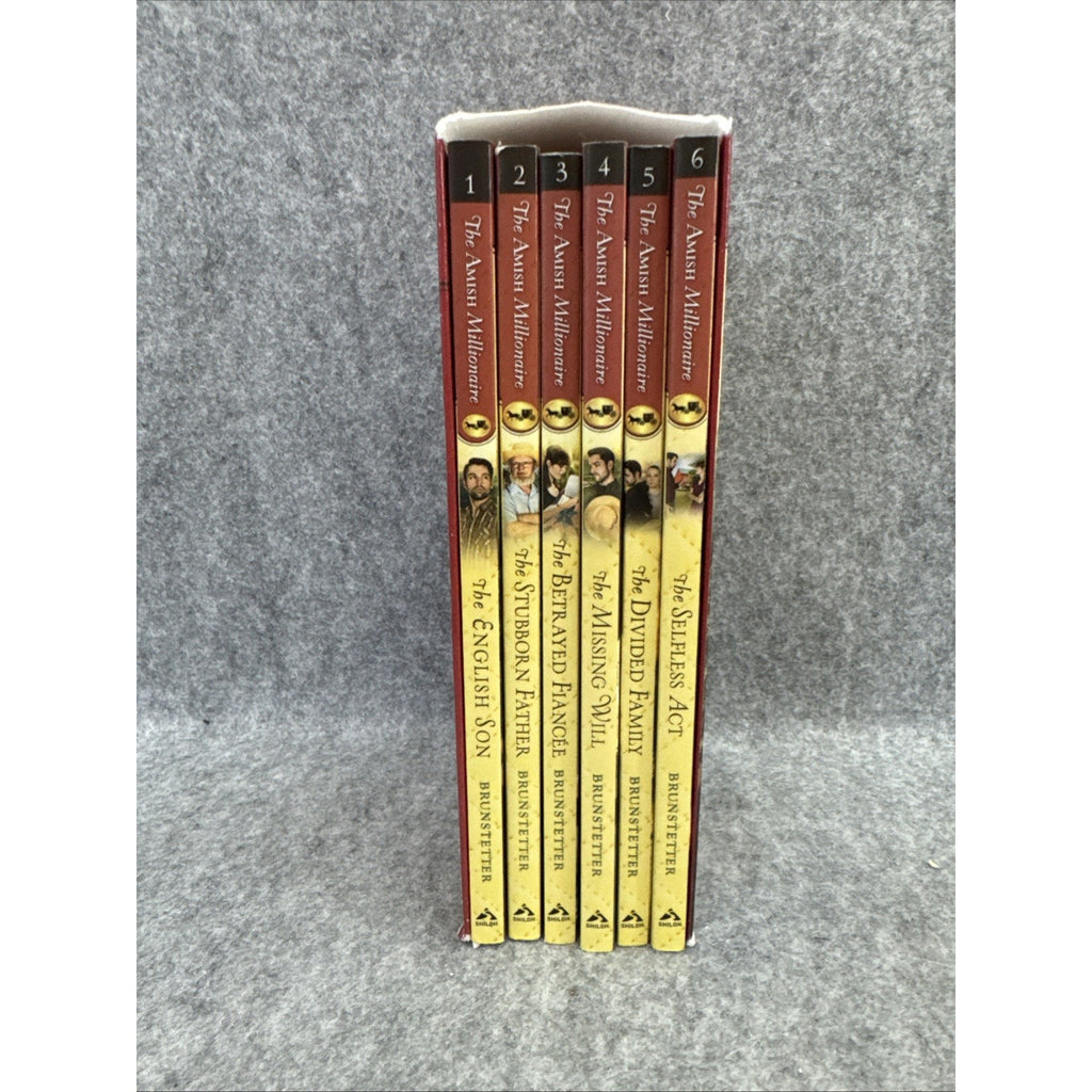 Amish Millionaire Boxed Set by Wanda E. Brunstetter and Jean Brunstetter (2016,