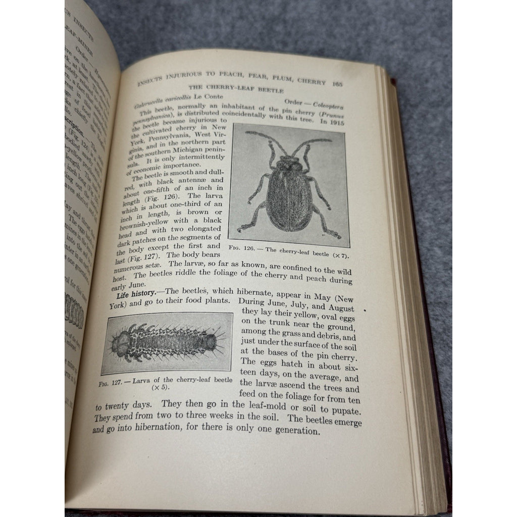 1927 Manual of Injurious Insects Glenn W Herrick Illustrated Entomology HC