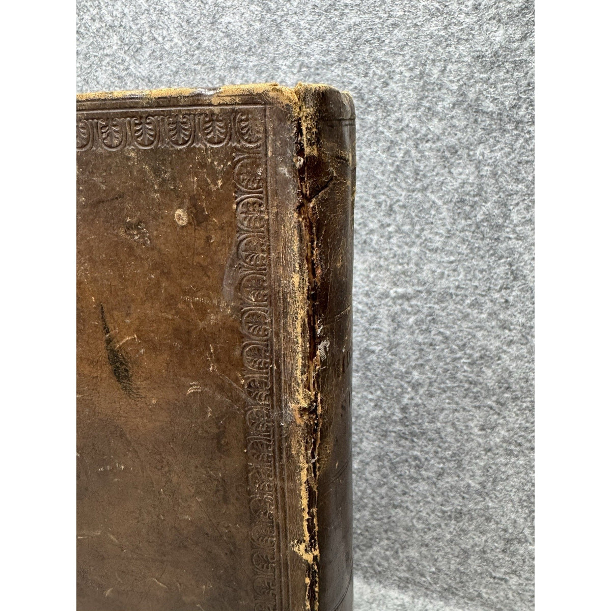 Rare 1845 Latter-Day Saints’ Millennial Star Vol VI Wilford Woodruff LDS