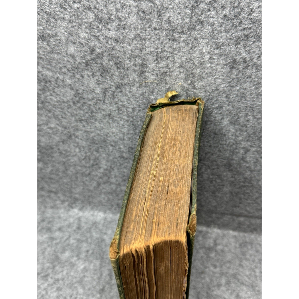 1881 Swiss Family Robinson J B Lippincott HC Illustrated Antique Book