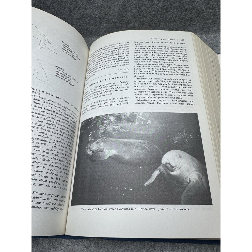 The Cousteau Almanac Jacques-Yves Cousteau 1981 Hardcover Ocean Ecology