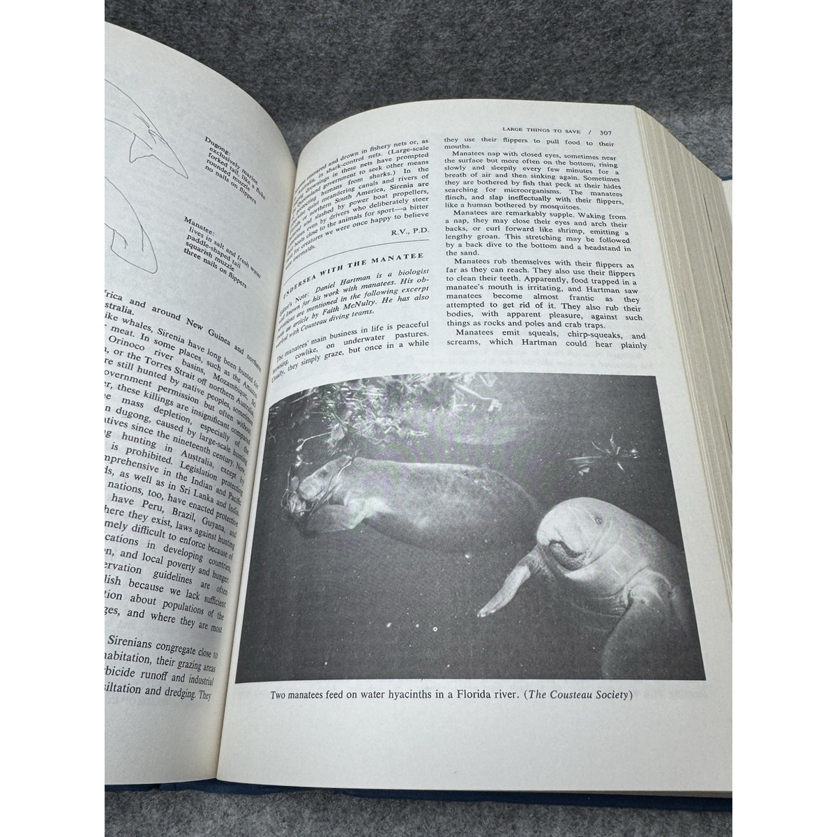 The Cousteau Almanac Jacques-Yves Cousteau 1981 Hardcover Ocean Ecology