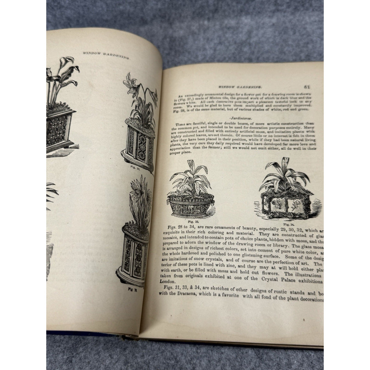 1877 Window Gardening Henry T Williams Illustrated Victorian Plants Hardcover