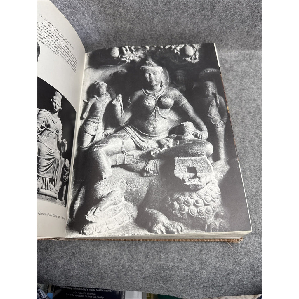 The Mythic Image by Joseph Campbell First Edition 1974 Hardback Illustrated