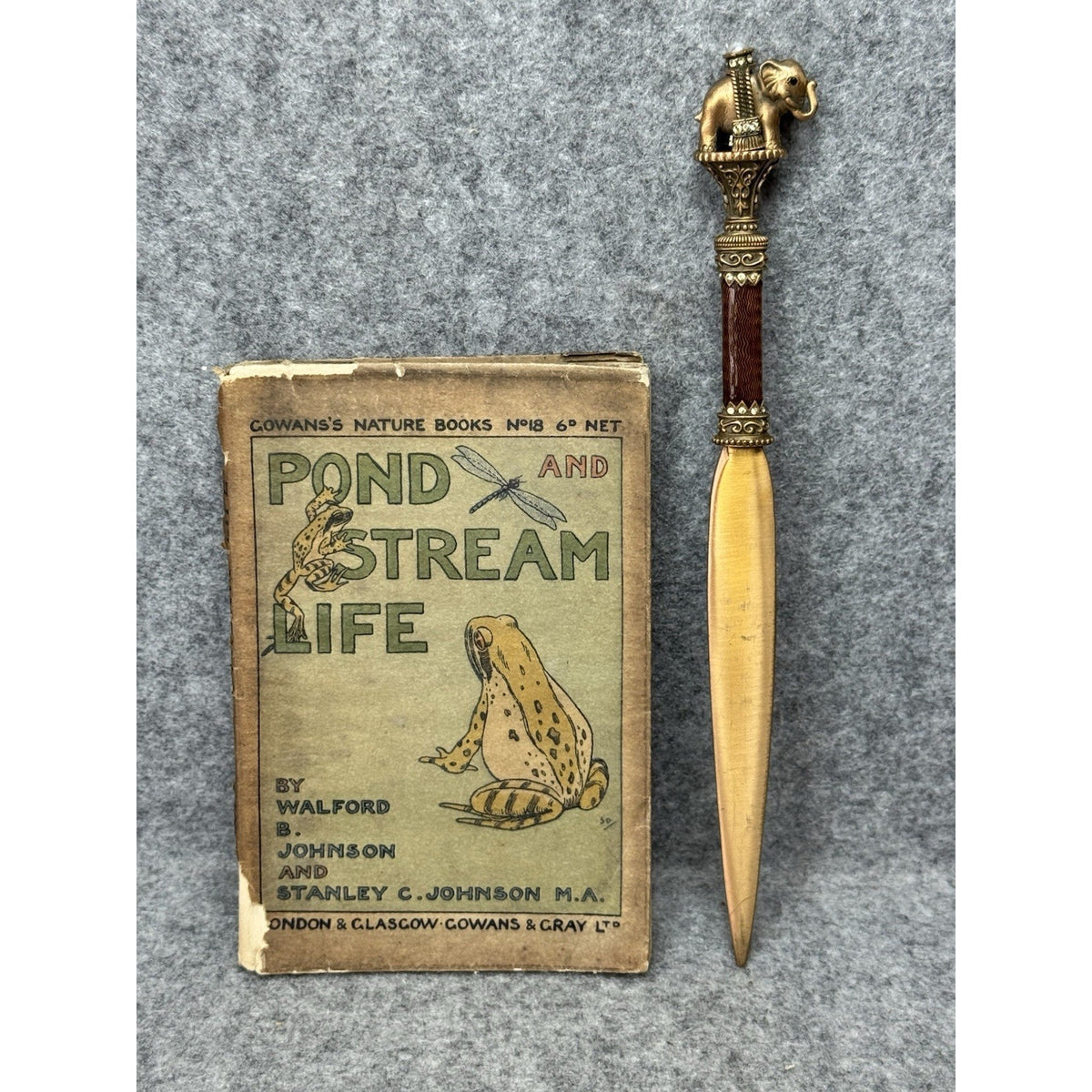 1907 Pond and Stream Life Johnson 1st Ed Gowans Nature Book No 18 Photos