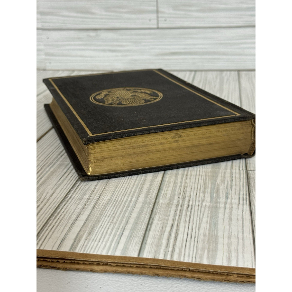 Messages and Papers of the Presidents Vol IX Richardson Antique 1897 HC