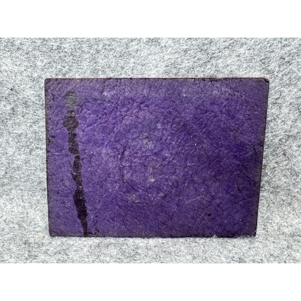 Vintage Oregon State Seal Purple Leather Silver Stamped Emblem 2.5 x 2 Inches