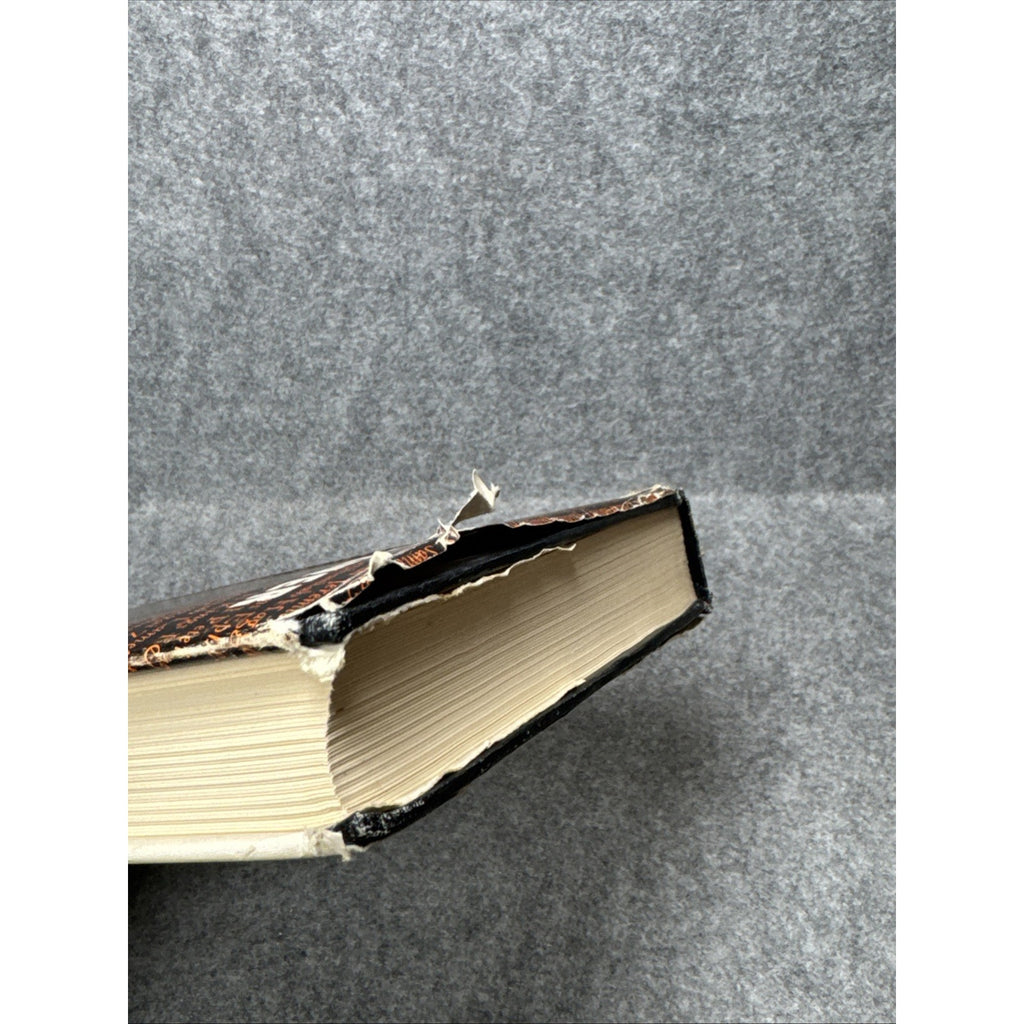 Our Daily Homily Chapter By Chapter Through the Bible - Meyer - 1966 HCDJ