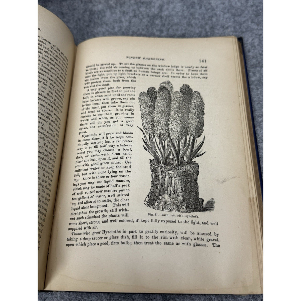 1877 Window Gardening Henry T Williams Illustrated Victorian Plants Hardcover