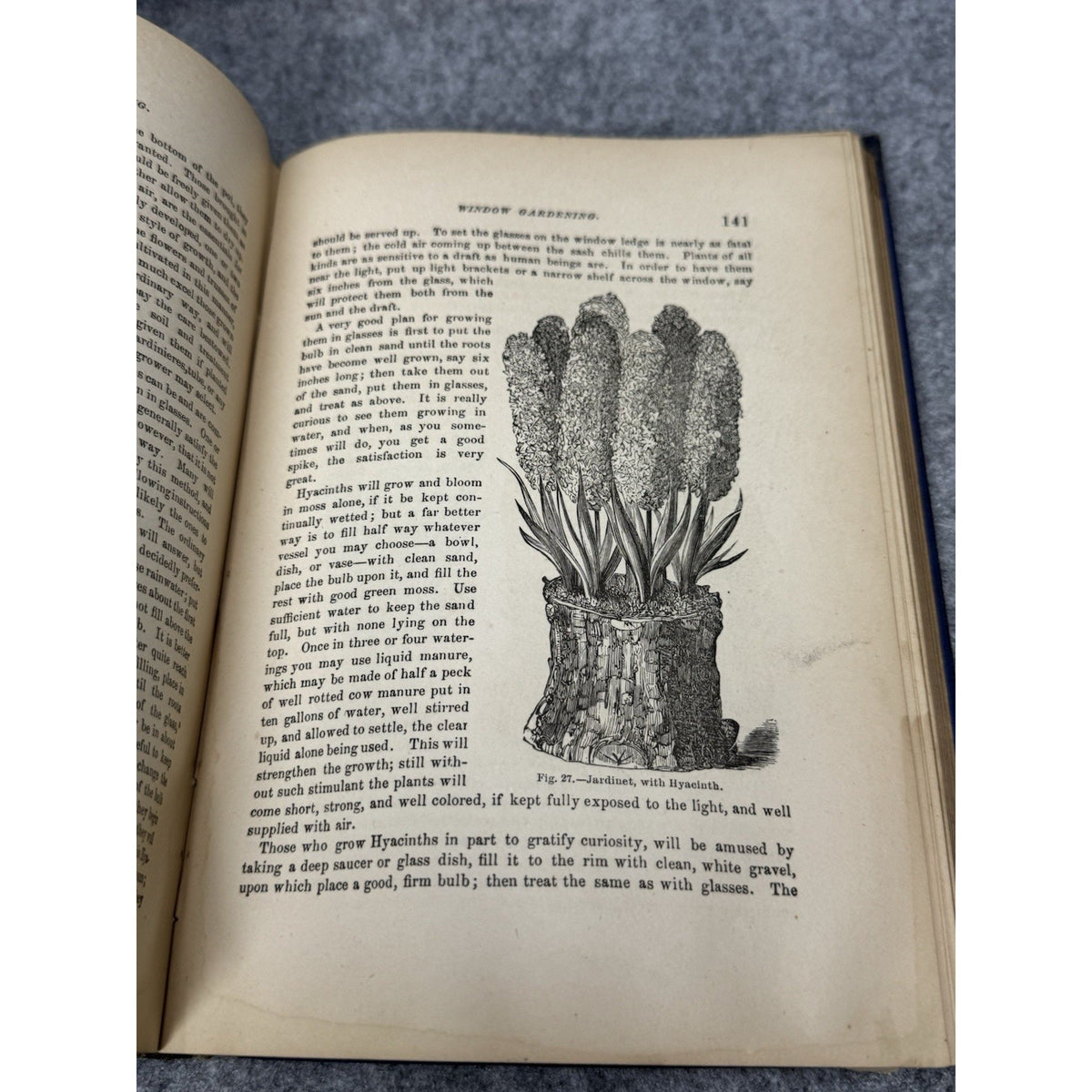 1877 Window Gardening Henry T Williams Illustrated Victorian Plants Hardcover