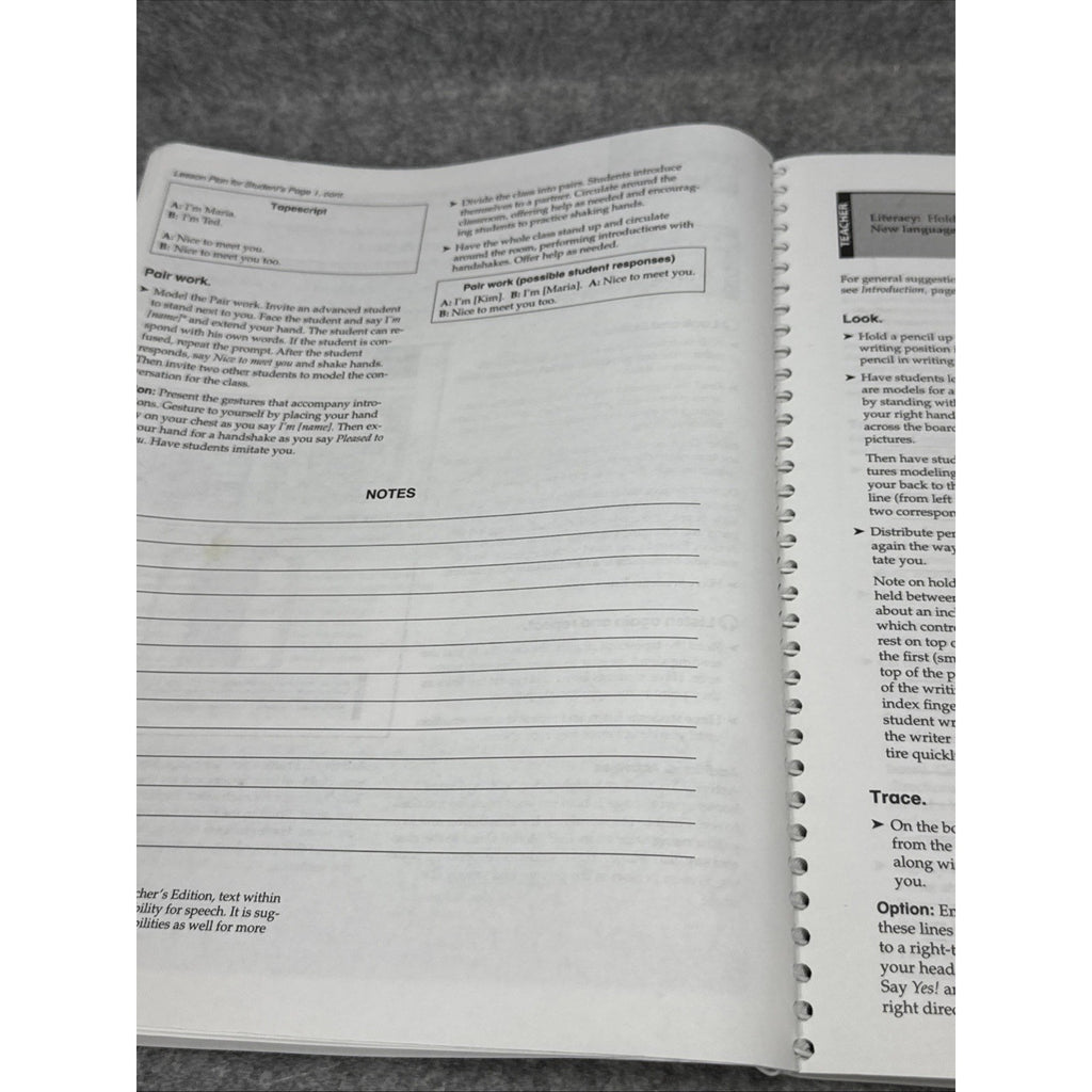 Literacy Plus A: Teachers Manual NO CD