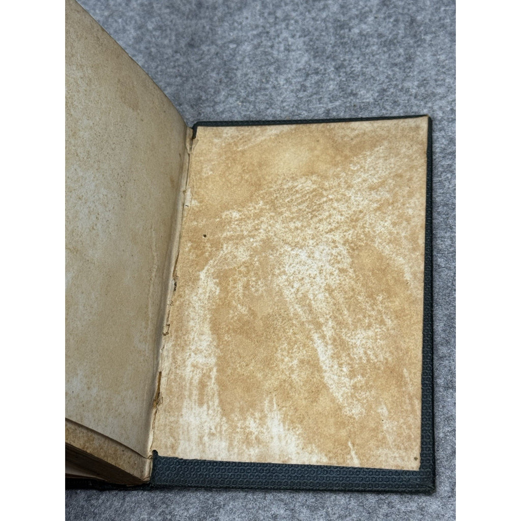 Gloria and Other Poems C.W. Lownsbury 1864 Civil War Michigan Poetry