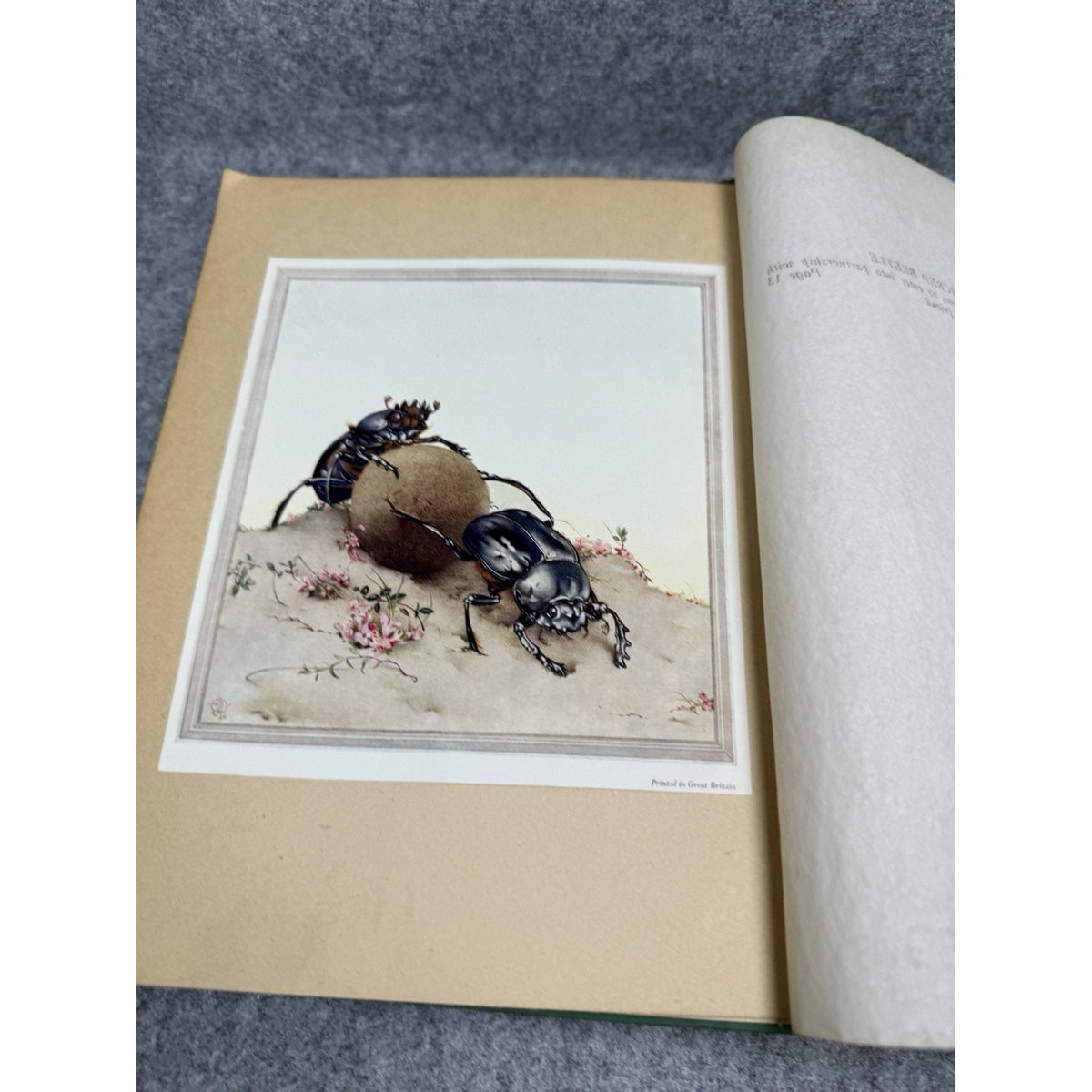 1926 Fabre’s Book of Insects E J Detmold Color Plates Dodd Mead Gilt Hardcover