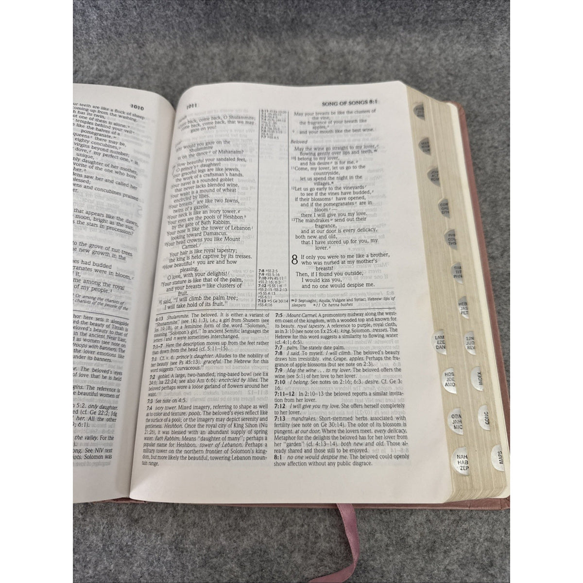 The Study Bible: New International Version/Tea Rose Bonded Leather