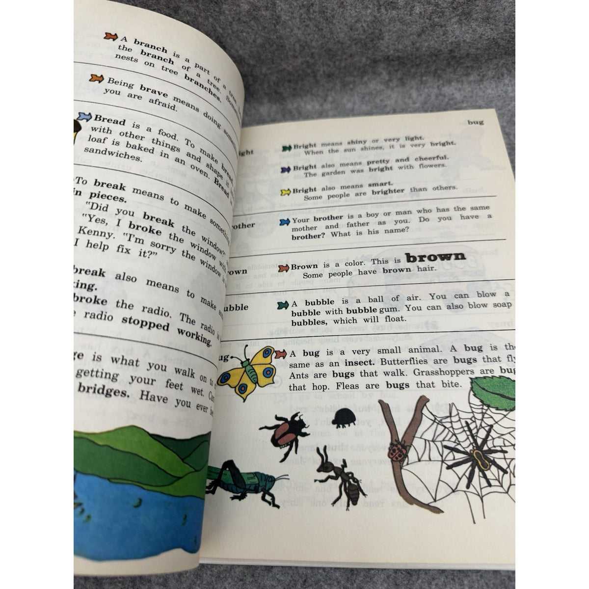 The First Dictionary 1977 Banner Press Vintage Children’s Picture Dictionary