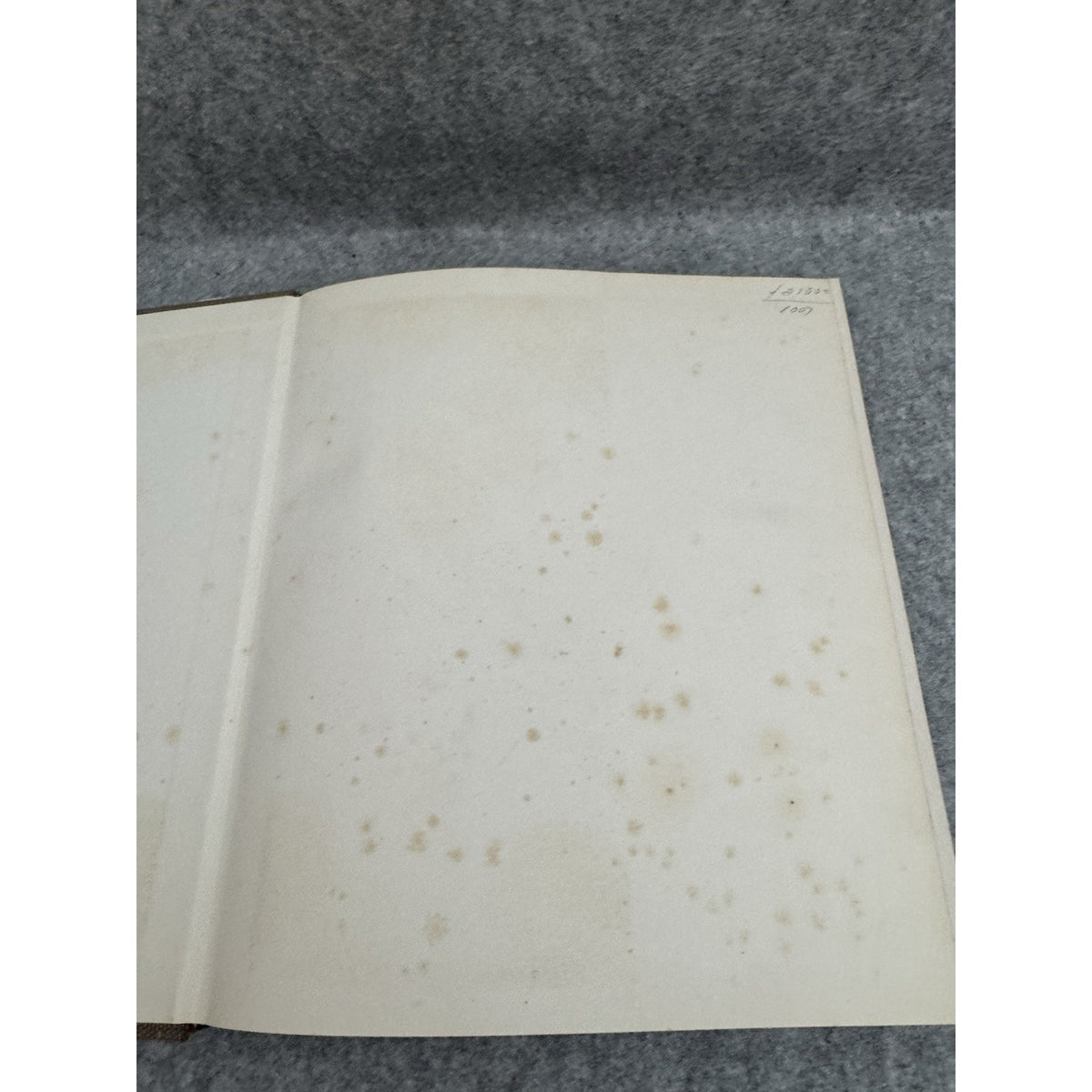 1970 Urbanismo y Sociedad Sibyl Moholy-Nagy HC Historia Ciudad Blume