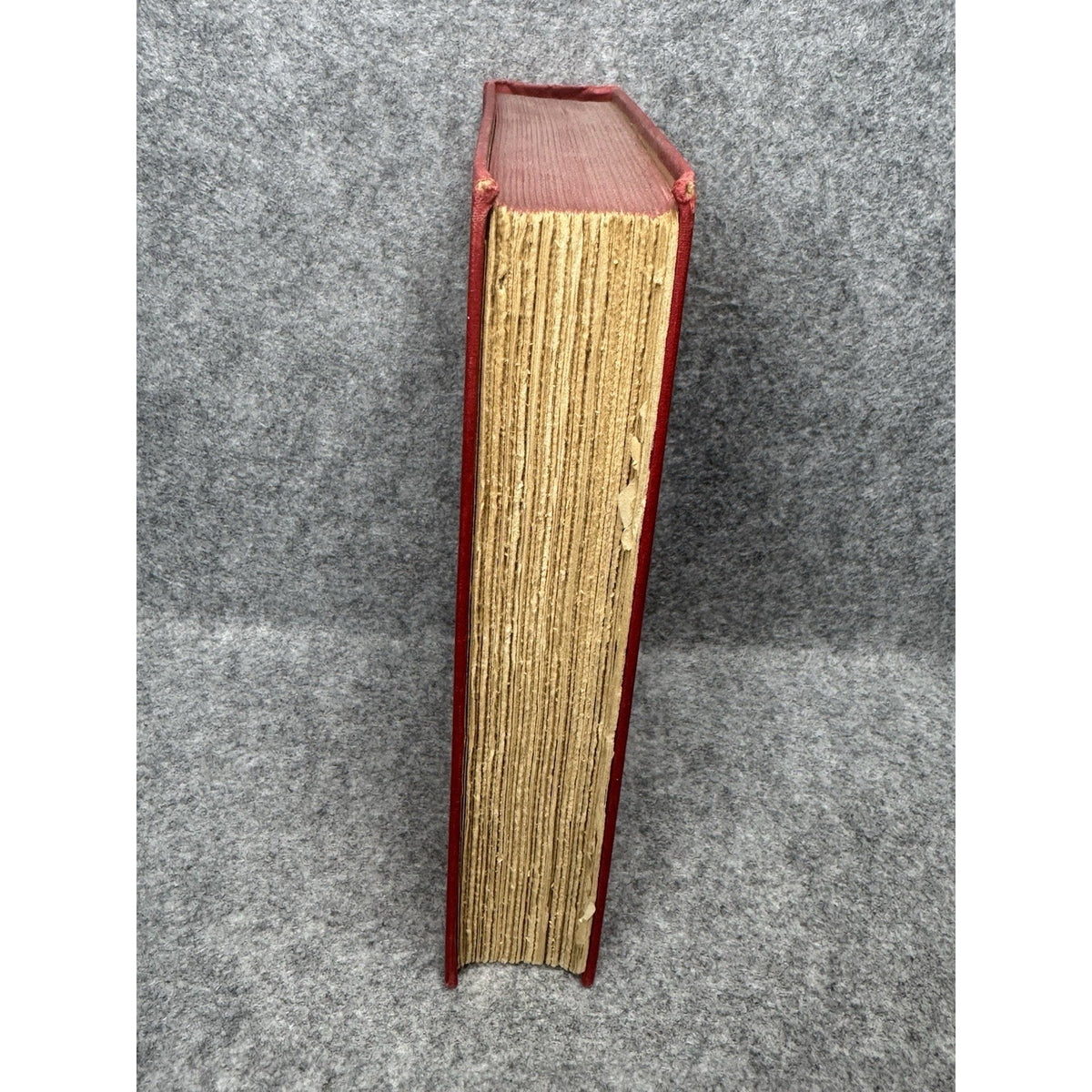 1928 Creation by Evolution Frances Mason First Edition Illustrated Hardcover