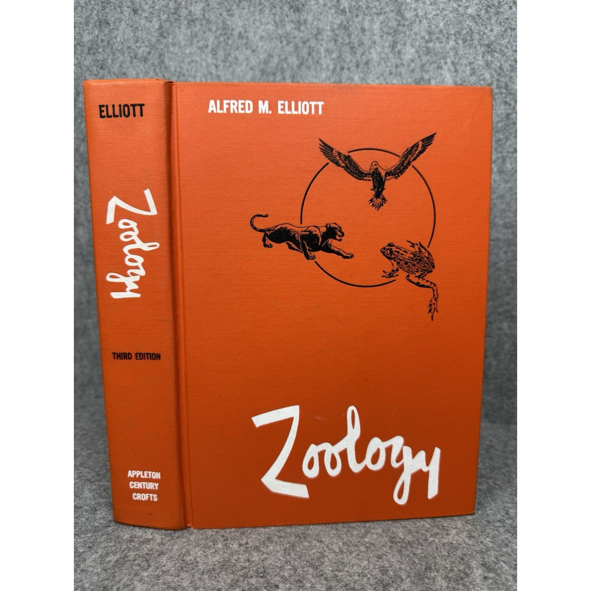 Zoology Alfred M Elliott 1963 3rd Edition Vintage Illustrated Biology Textbook